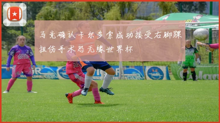马竞确认卡尔多索成功接受右脚踝扭伤手术恐无缘世界杯